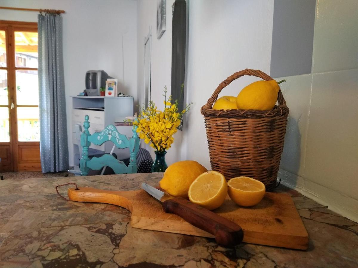 Kotroni Studios Skiathos Exteriér fotografie